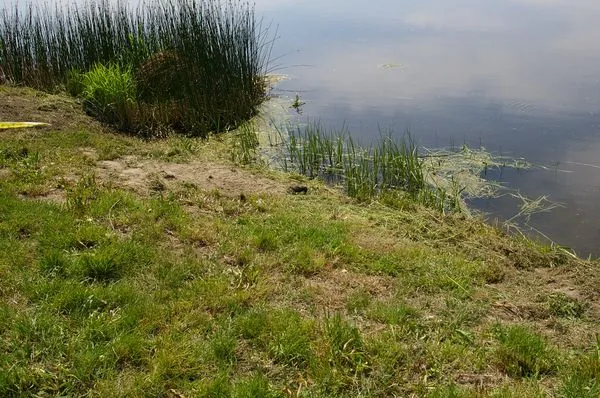 Mistrzostwa_Szkol_28